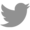 Twitter Logo