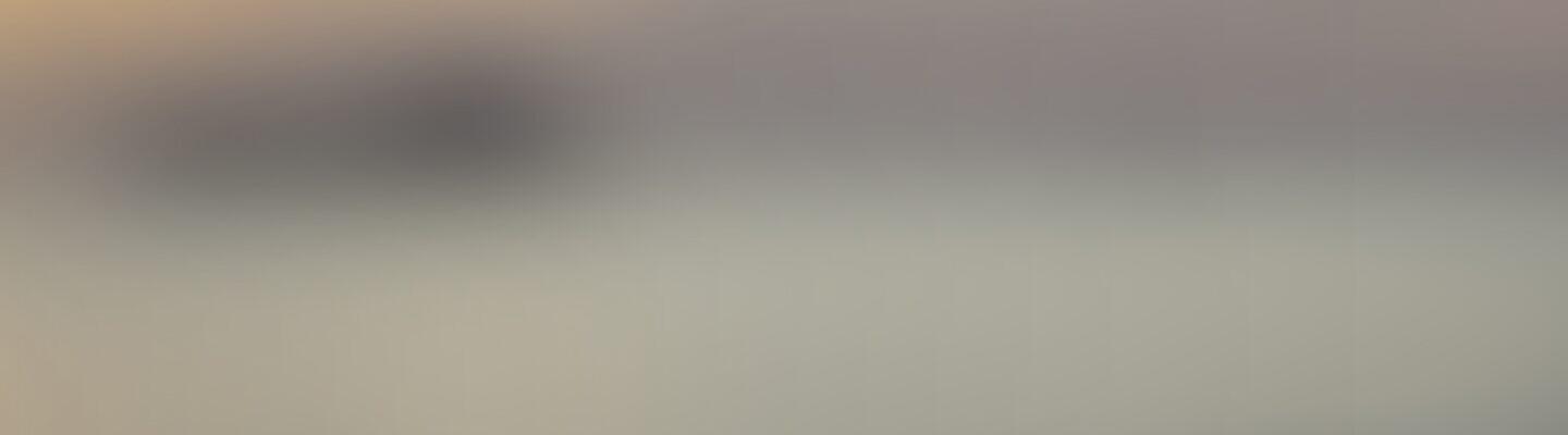 SWIFT's History Banner